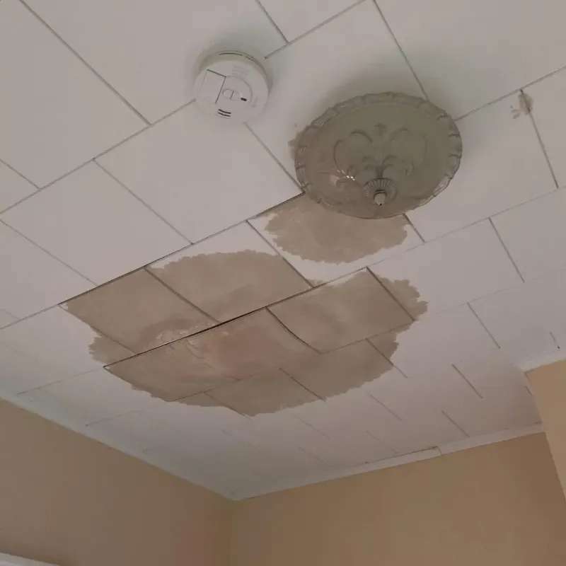 Ceiling Water Damage Repair in Waukon, IA