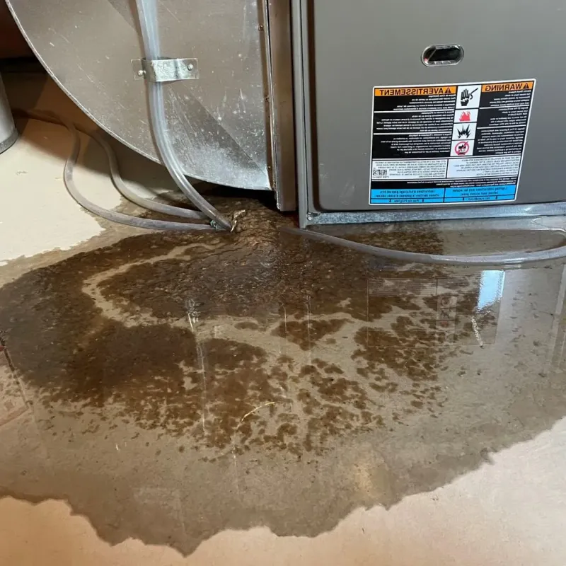 Pipe Burst and Leak Restoration in Waukon, IA