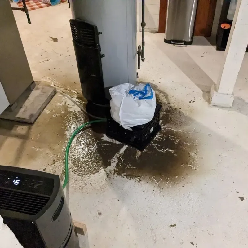 Sewage Backup Cleanup Service in Waukon, IA